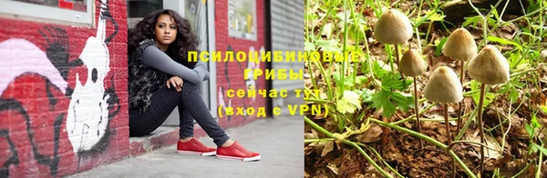 тгк Зеленокумск