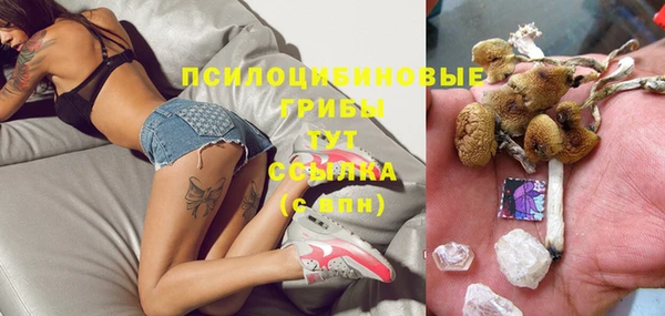 спиды Зеленодольск