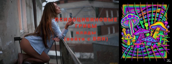 спиды Зеленодольск