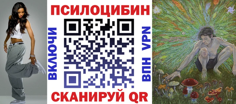 Купить где  Заречный  Псилоцибиновые грибы Cubensis 